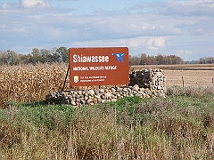 31 Shiawassee National Wildlife Refuge [2008 Nov 5]